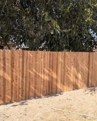 Long wood privacy fence across a McAllen yard beneath mature trees.